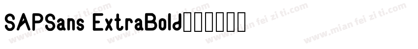 SAPSans ExtraBold字体转换